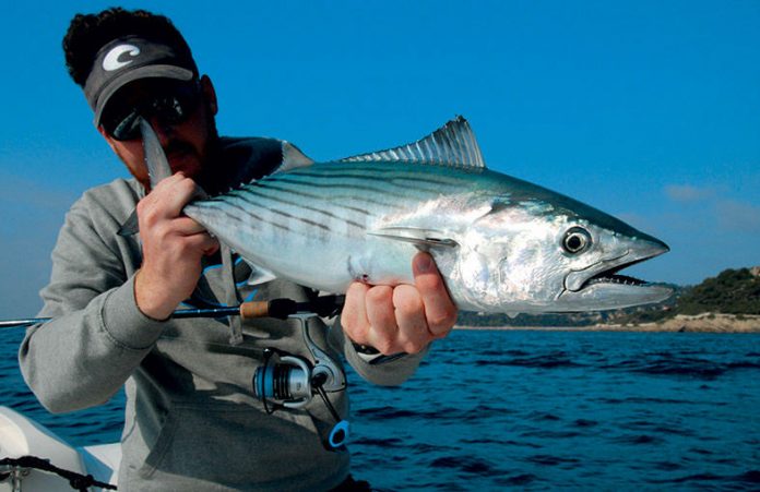 Choix des lunettes polarisantes pour la pêche en mer