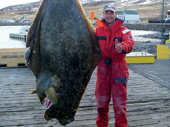 Pêche en Islande