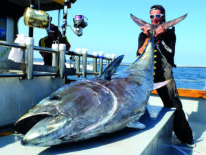 Lire la suite à propos de l’article Les gros thons rouges d’Atlantique