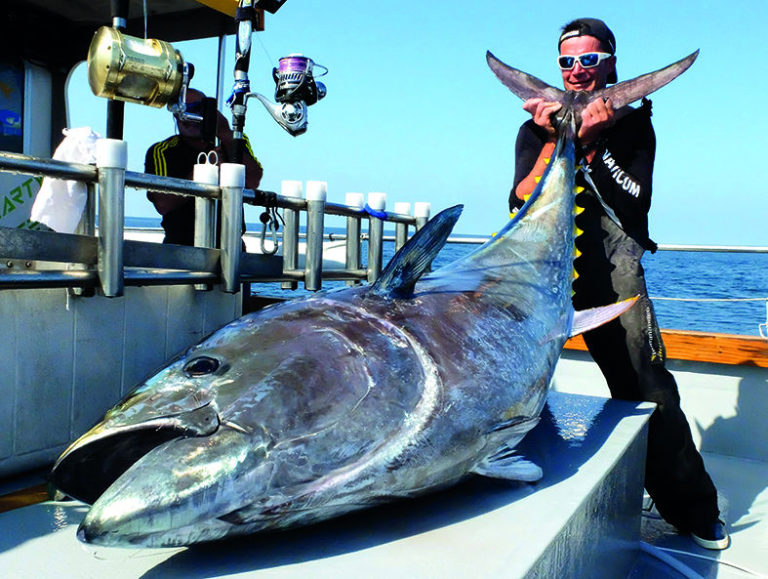 Les gros thons rouges d’Atlantique Côt&Pêche