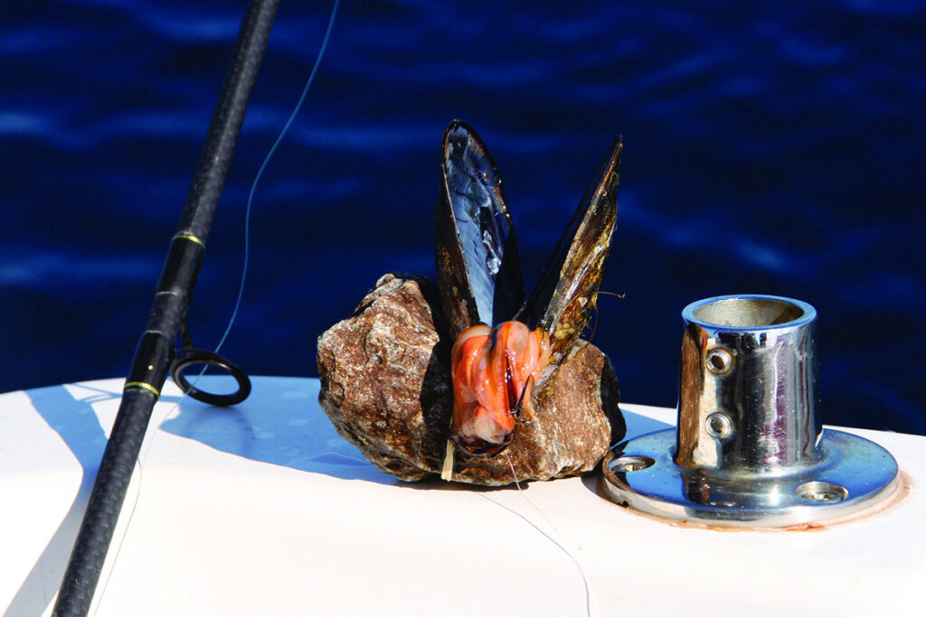 Appât De Pêche En Mer Avec Hameçons Aigus, Appât Bionique Pour La Pêche À  L'achigan, Économisez De L'argent Sur Temu