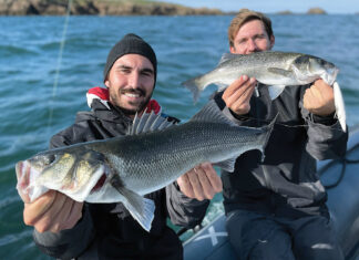 Pêche du bar en surface à Houat